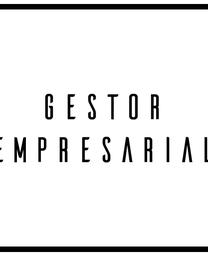 Gestion empresarial