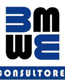 Bm consultores