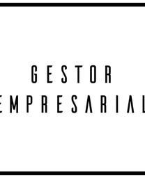 Gestor Empresarial